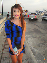 Amateur pics of sweet thai ladyboy